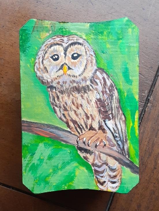 Hand Painted Other - Hand-Painted Wooden Trinket Box - owl
